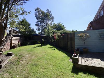 Picture 12